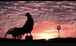 Spiritual Meaning of Rooster Crowing at Night